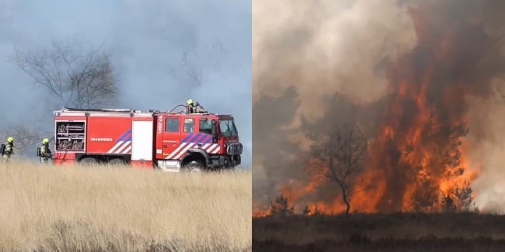 Fam&iacute;lia recebe livramento de inc&ecirc;ndio florestal ap&oacute;s crist&atilde;os orarem: "O vento mudou"